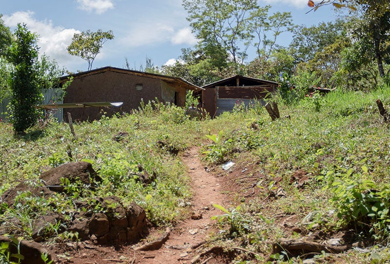 The path up to Fidel's home