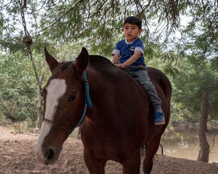 Walter concentrates while sitting on top of a horse under a tree
